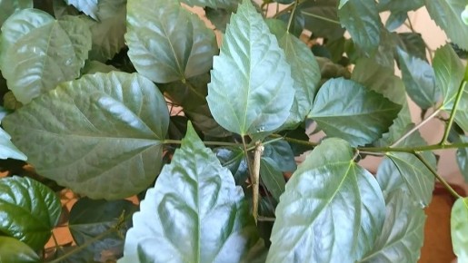 ��� ������� ��������� ���� � �����: ���������� ������ �����