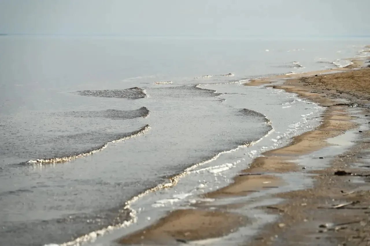 Александр Дрозденко: На ветвях деревьев уже набухли почки Александр Дрозденко: На ветвях деревьев уже набухли почки