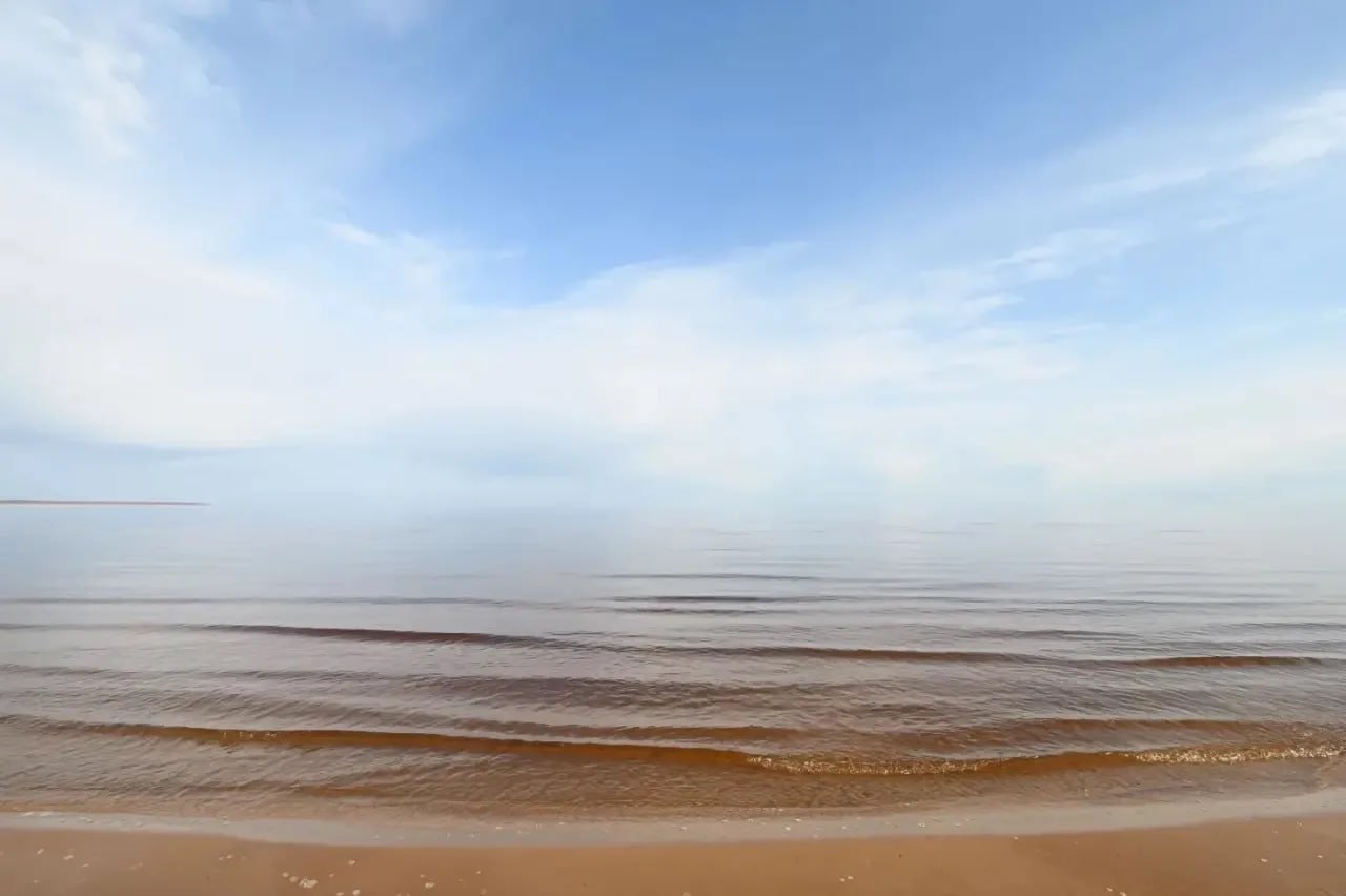 Александр Дрозденко: На ветвях деревьев уже набухли почки Александр Дрозденко: На ветвях деревьев уже набухли почки