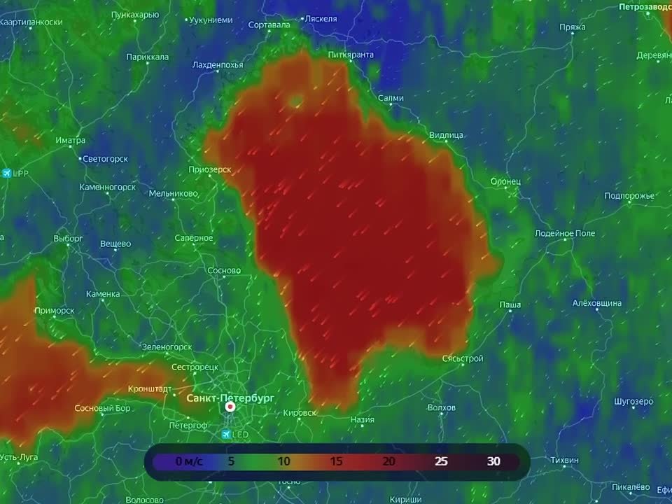 Жителей Ленобласти предупредили о возможном появлении нерп на берегу Ладоги