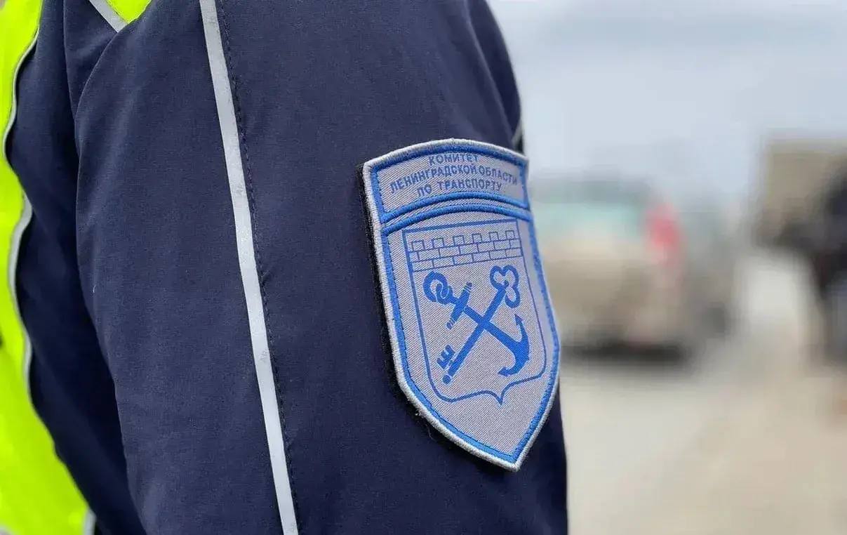 Комитет по транспорту Ленобласти совместно с Ространснадзором проведёт проверки перевозчиков из-за жалоб на высадку детей
