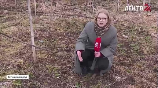 ������ ������� �������. ������ ������� ���������� � ���������� ������ ������������� ������� ���� ������� - �� �������� ����������� ������� ���������