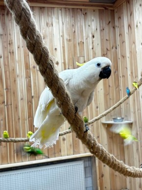 ���������� ������������������ ������� ��������� ��������� ���� � ����������� ����� ��������� � ������ �������� � ���������� ���� ��������� ����������� �������� ���� �������� � ������� ������������� �������, ��������...