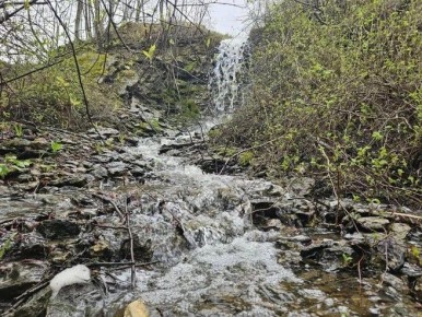 ����� �������� ������� ������������� �������� �������������� ������������� ���� �������� � ��������� ������ ����������