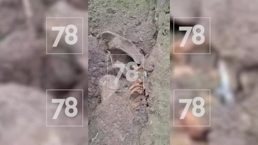 ������� 40 ������ ������ ��� ����� � ���������� ��� ���������