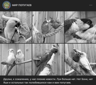 � ������� �������� ���������� � ������� ���� �������� ��������� �������� ��������