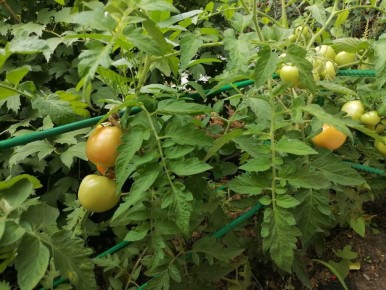 ����� ������ �������� �� ������� � 2026 ����: ������ � ������ ���������