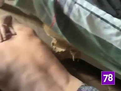 ׸���� ������� �� ���������� �������� �������������� ��������� �� ������, ������� ������� ��������� ��������