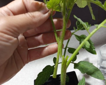 �������� �������: ������� ��� �������� ������