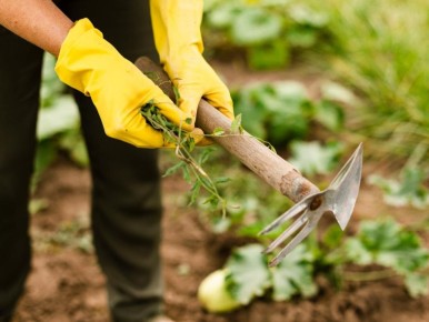 ����������: ������� ������ ��������� ��� �������� ������