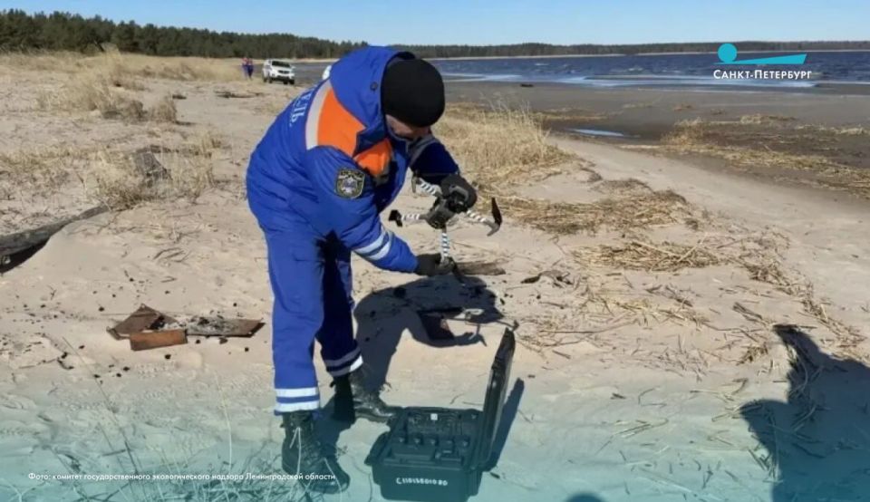 На берегу Финского залива в Кургальском заказнике обнаружили локальное загрязнение нефтепродуктами