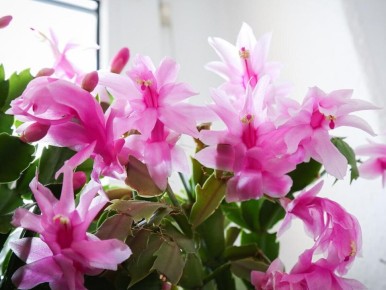 ��� �������� ���������� ���������� ������� ��� ��������� �����