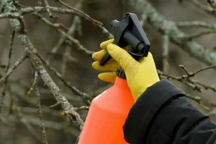 ��� ����������� �������� ��� ������� ��������� ������� ��������: ������ �� ���������� � ��������