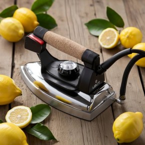 ������ �������� ������� � ���� ������ �������������� Lelit