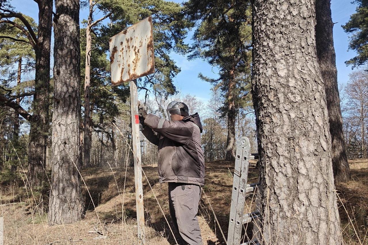 Инфраструктуру ООПТ Ленобласти готовят к весенне-летнему сезону Инфраструктуру ООПТ Ленобласти готовят к весенне-летнему сезону