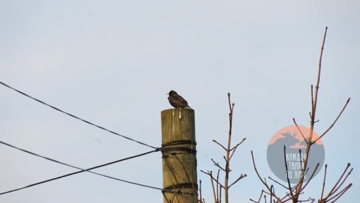 ������� ��������� � ���������� � ���������� � ��������� ������ ����