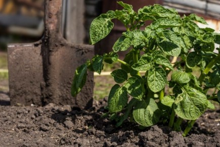 ������ ��������� ���� �� ��������� �������