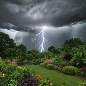 Погода против урожая: как климат влияет на наше питание