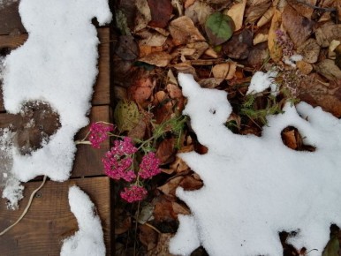 ���� �� �������: ��� ����� ��������� �������� �������� ������