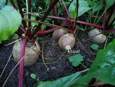 ������ ��������� ������������� ����� ��������: ��� �� ������ � ����