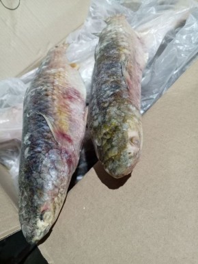 ������: ��������� ����� ��� ������ �����