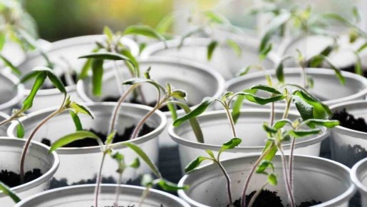 ����������� � ��������� ���������� ��� ������� �������: ��� ��������, � ��� ���