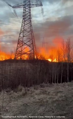Трава горит возле Гатчинской ЛЭП недалеко от Торфопредприятия