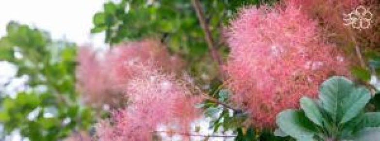 �������: �������� ������ ���� � ������������ �������