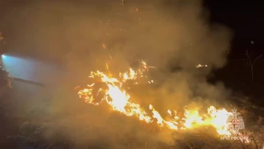 Под Гатчиной ликвидировали пожар