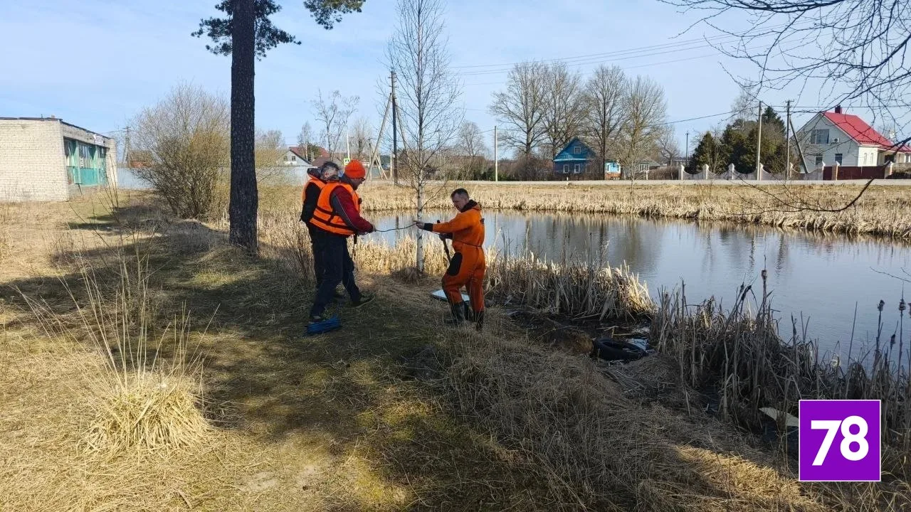 Водолазы достали из воды тело мужчины в Волосовском районе Ленобласти Водолазы достали из воды тело мужчины в Волосовском районе Ленобласти