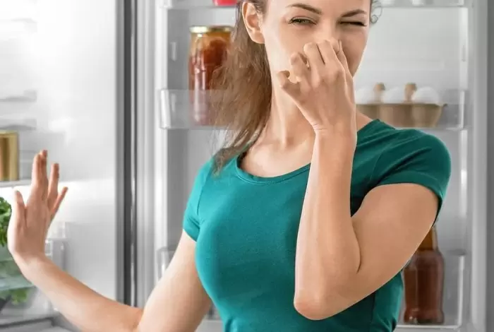 Как одно яблоко поможет избавиться от запахов в холодильнике