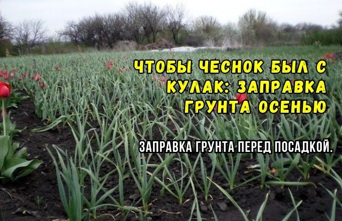 ����� ��������� ����������� �������: ������ ���������