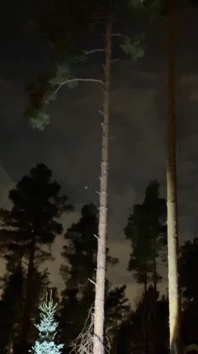 �� ����������� ���������� ����������� ������� ���� � 25-�������� �����