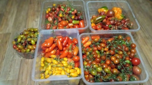 �������� �������: ������ �������� �������� �������� � ��� �����