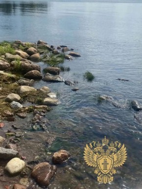 ���������� ��������� ����������� �������� ���������� ��������� ���������������� ���������������� � ����������� ���� ���������