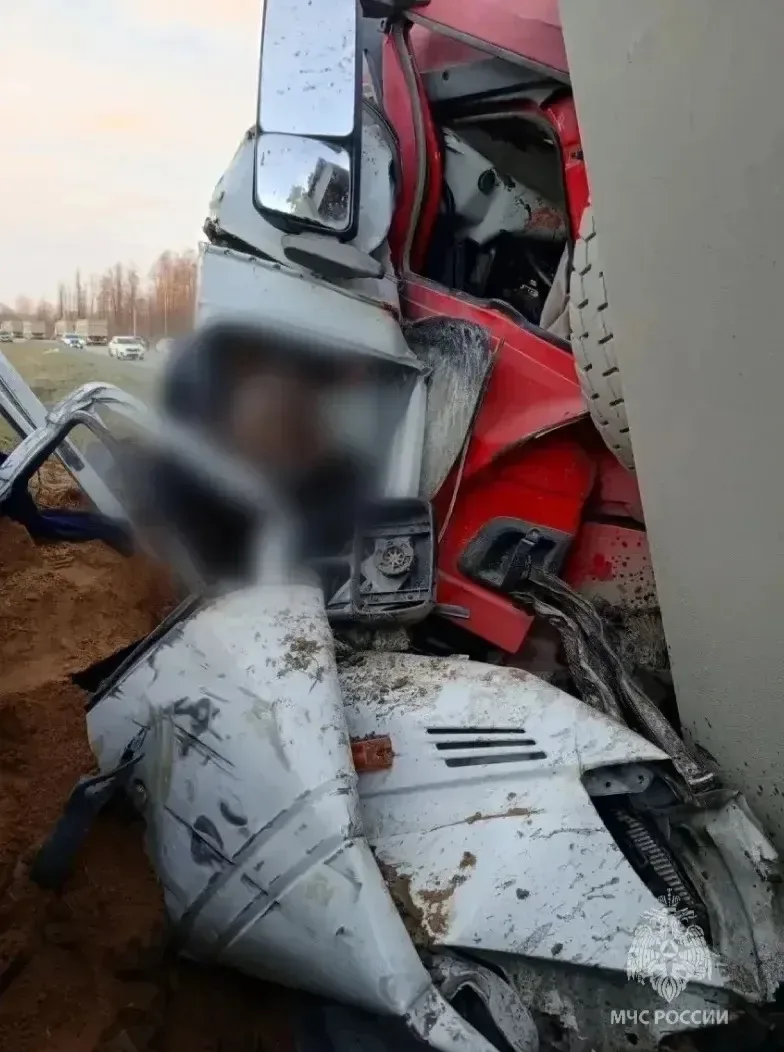 Полиция проводит проверку по факту смертельного ДТП под Кингисеппом Полиция проводит проверку по факту смертельного ДТП под Кингисеппом