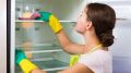 Как избавиться от неприятного запаха в холодильнике: проверенные методы