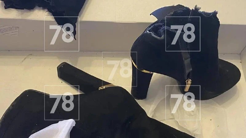 «Осколки разлетелись по кухне»: в Кингисеппе бывший муж подорвал петарду у окна экс-жены «Осколки разлетелись по кухне»: в Кингисеппе бывший муж подорвал петарду у окна экс-жены