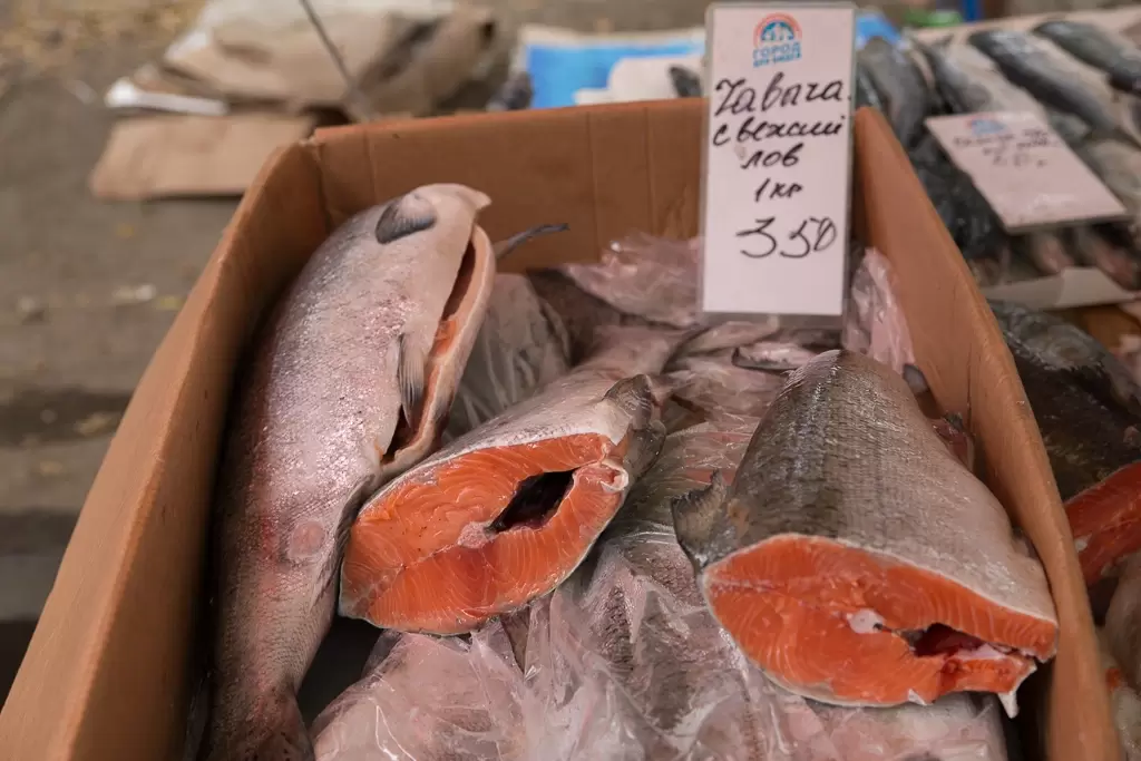 Горбуша: универсальная вкуснятина для любого стола