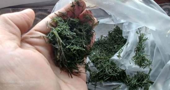 ����� ��������� ������: ��� ��������� ������ � ���� �� ����