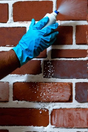 ����� ����� �� ��������� ������: ��� ������ �������� �������