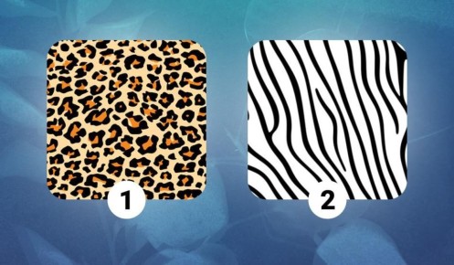 ��� ���� �� �������� ����� �������� ���� �������� ��������