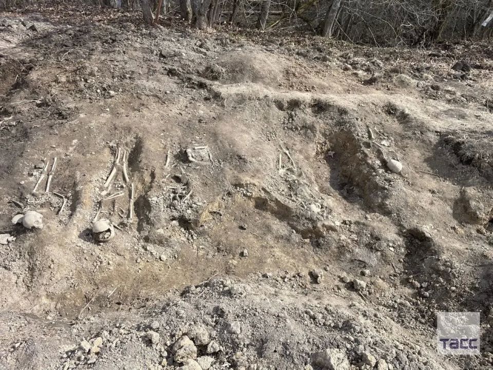 ������ ������: � ���������� ����� ����������� ����� � ������, ������ ���������