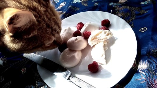 ��������� ����: ������� �������� � �����������