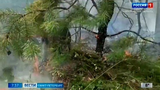 � ������������� ������� �������� ����� �������������� ������