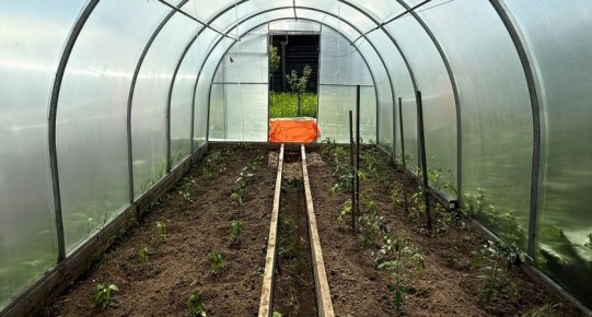 ��� ����������� ������� � ������ ������: ������ � ����