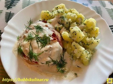 ���������� ���: ������� �������, ������� ������� ������ �����