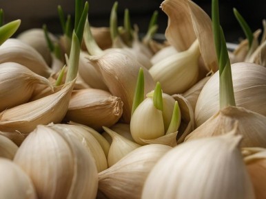 ��� ��������� ���������� ������ ������: ������� ��� ��������� ������