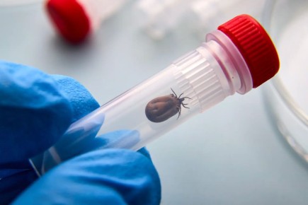 ����� �� ������ ��������� 217 ������� � ���������� � ����������