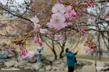 � ���������� ����� ��������, �� ����������� ������ �� ������ � �������� �����